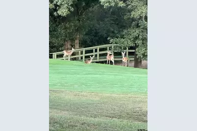 1052 Greenbriar Trl, Holly Lake Ranch, TX 75765 - Photo 36