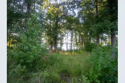 Lot 16 N Pr 52416, Leesburg, TX 75451 - Photo 14