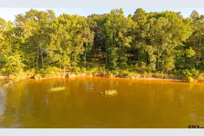 Lot 16 N Pr 52416, Leesburg, TX 75451 - Photo 10