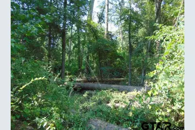 877 Caroline Bend, Bullard, TX 75757 - Photo 10