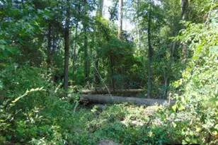 877 Caroline Bnd, Bullard, TX 75757 - Photo 10