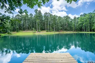 165 Whistler Ln, Hallsville, TX 75650 - Photo 30