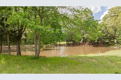 1855 Phillips Springs Rd, Gladewater, TX 75647 - Photo 24