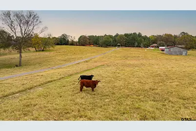 1855 Phillips Springs Rd, Gladewater, TX 75647 - Photo 36