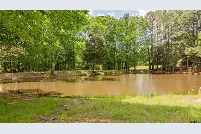 1855 Phillips Springs Rd, Gladewater, TX 75647 - Photo 44