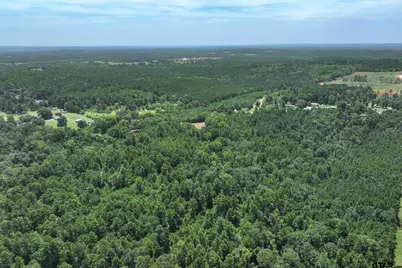 Tract 1 County Road 4102, Jacksonville, TX 75766 - Photo 14