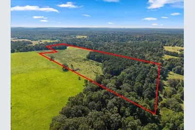 1663 Cr 4510, Pittsburg, TX 75686 - Photo 40