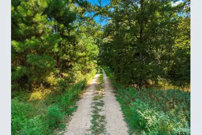 1663 Cr 4510, Pittsburg, TX 75686 - Photo 12