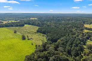 1663 Co Rd 4510, Pittsburg, TX 75686 - Photo 30