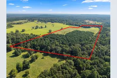 1663 Cr 4510, Pittsburg, TX 75686 - Photo 32