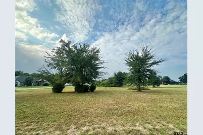 0000 Fairway Lane, Sulphur Springs, TX 75482 - Photo 8