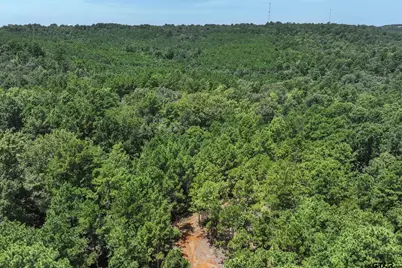 Tract 2 County Road 4102, Jacksonville, TX 75766 - Photo 6