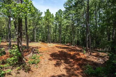 Tract 2 County Road 4102, Jacksonville, TX 75766 - Photo 8