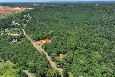 Tract 2 County Road 4102, Jacksonville, TX 75766 - Photo 4