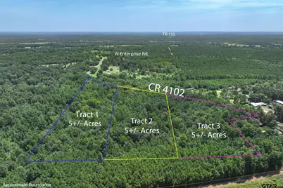 Tract 3 County Road 4102, Jacksonville, TX 75766 - Photo 14