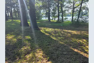 1372 Cr 1416, Quitman, TX 75783 - Photo 18