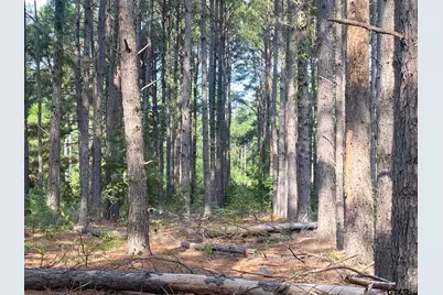 14466 County Road 393, Tyler, TX 75708 - Photo 4