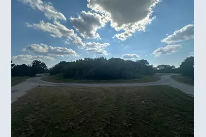 Rs Pr 6372, Alba, TX 75410 - Photo 6