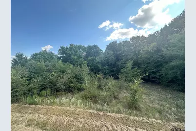 Rs Pr 6372, Alba, TX 75410 - Photo 4