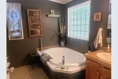 12149 County Road 224, Arp, TX 75750 - Photo 30