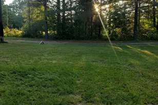 12149 County Rd 224, Arp, TX 75750 - Photo 12