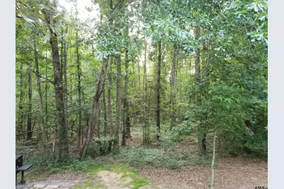 12149 County Road 224, Arp, TX 75750 - Photo 14