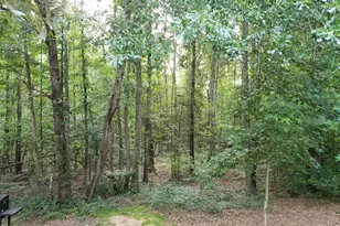 12149 County Rd 224, Arp, TX 75750 - Photo 14