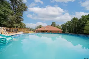 10660 State Hwy 154 E, Diana, TX 75640 - Photo 46