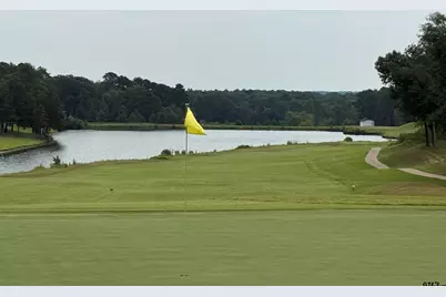 313 Sunset Cir, Bullard, TX 75757 - Photo 48