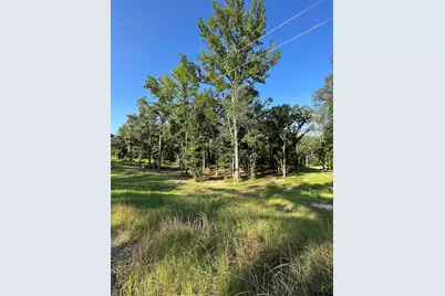 3226 Shadow Pine Dr, LaRue, TX 75770 - Photo 6