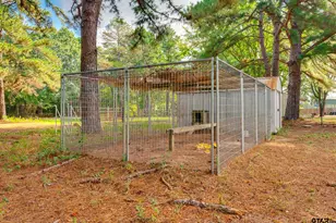 16455 FM 850, Arp, TX 75750 - Photo 44