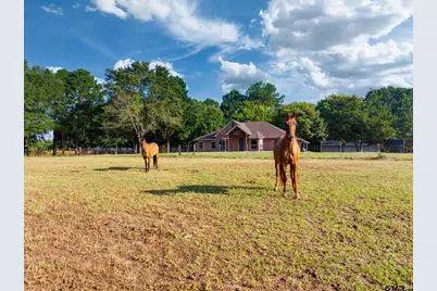 16455 Fm 850, Arp, TX 75750 - Photo 10