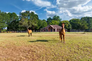 16455 FM 850, Arp, TX 75750 - Photo 10