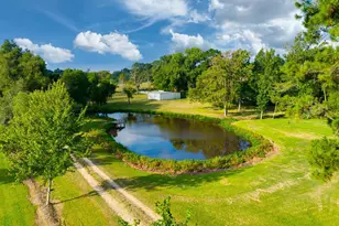 16455 FM 850, Arp, TX 75750 - Photo 6