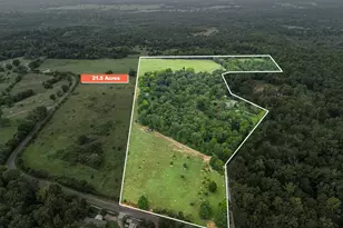 125 Private Rd 3180, Big Sandy, TX 75755 - Photo 42