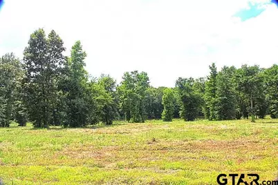 885 Stone Chimney Rd. (Lot 8 Cr 3608), Bullard, TX 75757 - Photo 1
