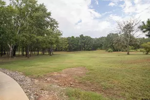 11336 County Rd 4102, Lindale, TX 75771 - Photo 4