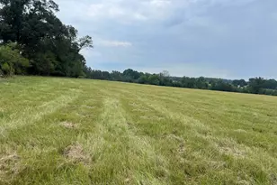 Tbd Fm 250 N, Naples, TX 75568 - Photo 6