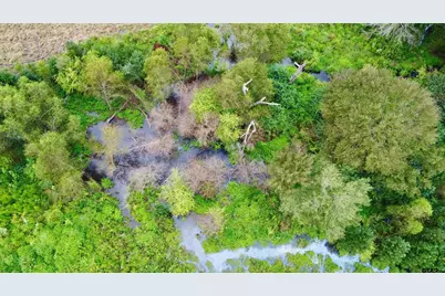 Tbd Fm 250 N, Naples, TX 75568 - Photo 10