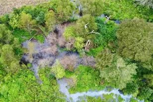 Tbd Fm 250 N, Naples, TX 75568 - Photo 10