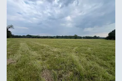 Tbd Fm 250 N, Naples, TX 75568 - Photo 1