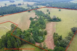 Tbd Fm 250 N, Naples, TX 75568 - Photo 2