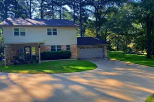 18040 Oakridge Ln, Flint, TX 75762 - Photo 4