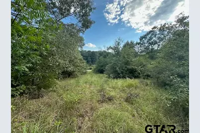 Tbd Vz Cr 1823, Grand Saline, TX 75140 - Photo 2