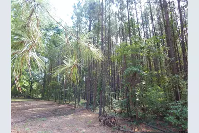 Tbd 45 Hwy 155, Gilmer, TX 75644 - Photo 4