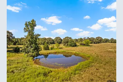 816 Cr 2590, Marietta, TX 75566 - Photo 2