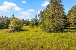 816 Co Rd 2590, Marietta, TX 75566 - Photo 20