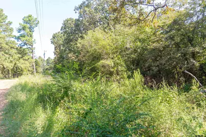 13234 Mountain View Rd S, Winona, TX 75792 - Photo 4