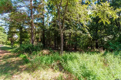 13234 Mountain View Rd S, Winona, TX 75792 - Photo 2