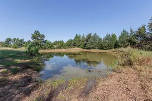 313 Co Rd 4617, Troup, TX 75789 - Photo 24